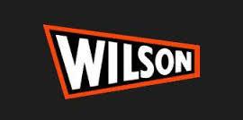 SUBFAMILIA DE WILSO  Wilson