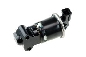 NTY EGR-DW-003 - EGR VALVES