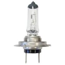 GAUSS GL19H7 - LAMPARA H7 12V 55W